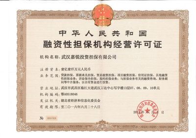 非融资性担保机构概览 专业担保服务解析