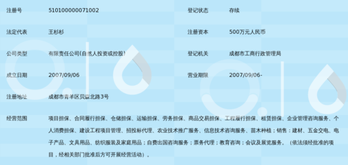成都市铭典非融资性担保 专业护航，安心前行